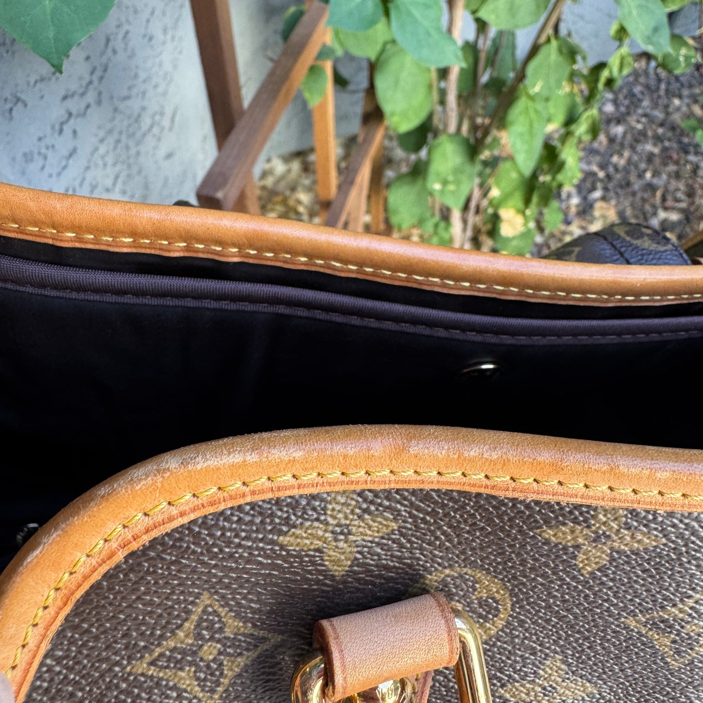 Louis Vuitton Monogram Baxter PM Dog Carrier