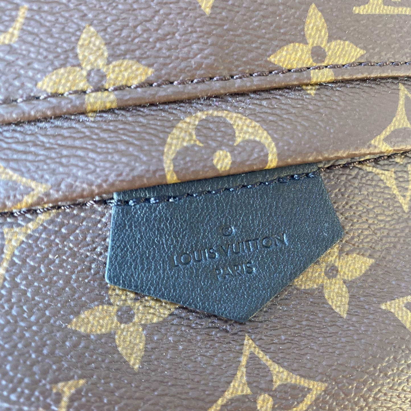 Louis Vuitton Monogram Palm Springs PM Backpack