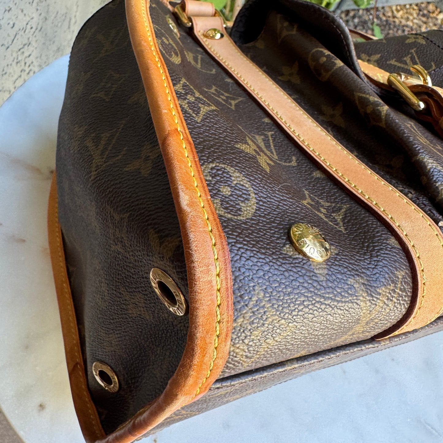 Louis Vuitton Monogram Baxter PM Dog Carrier