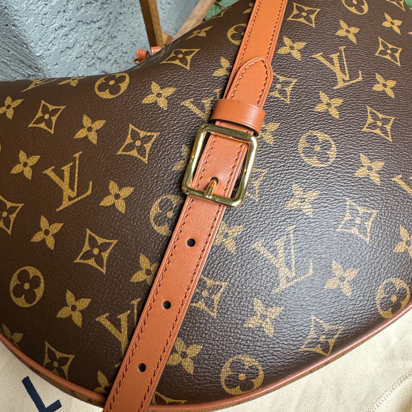 Louis Vuitton Loop Hobo