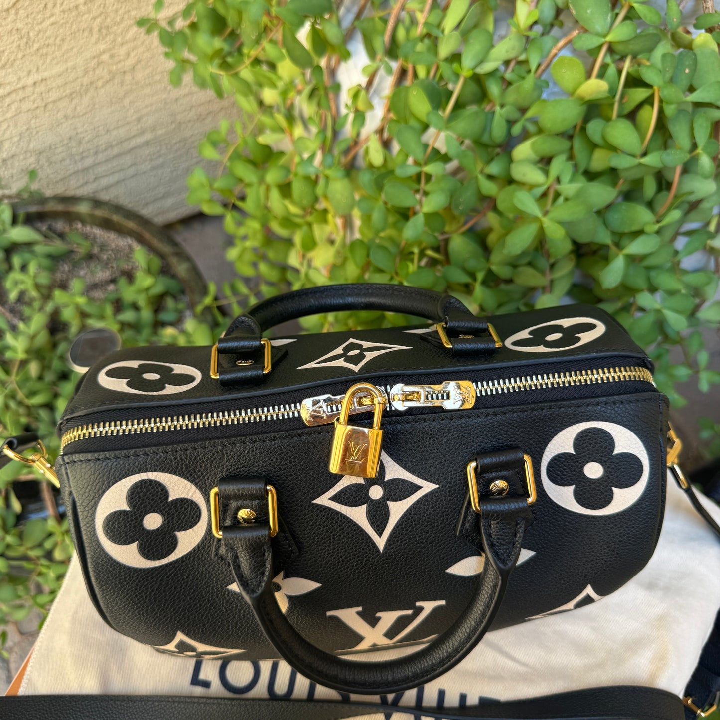 Louis Vuitton Speedy Bandoulière 25