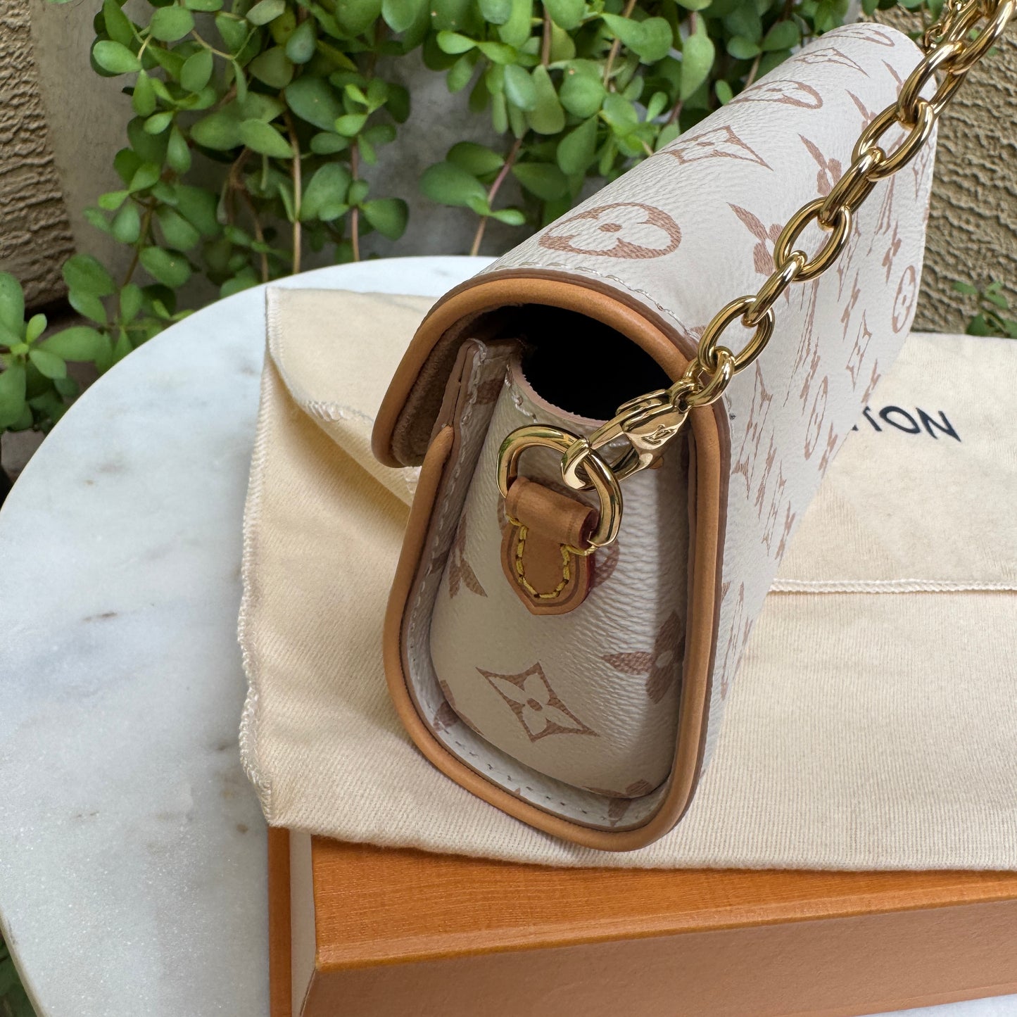 Louis Vuitton Monogram Dune Camille Pochette