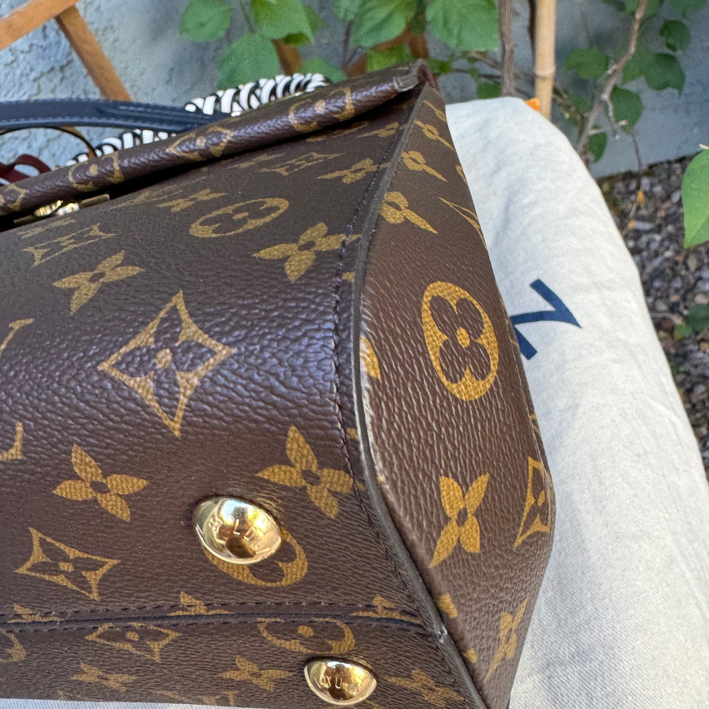 Louis Vuitton Monogram Braided Cluny MM