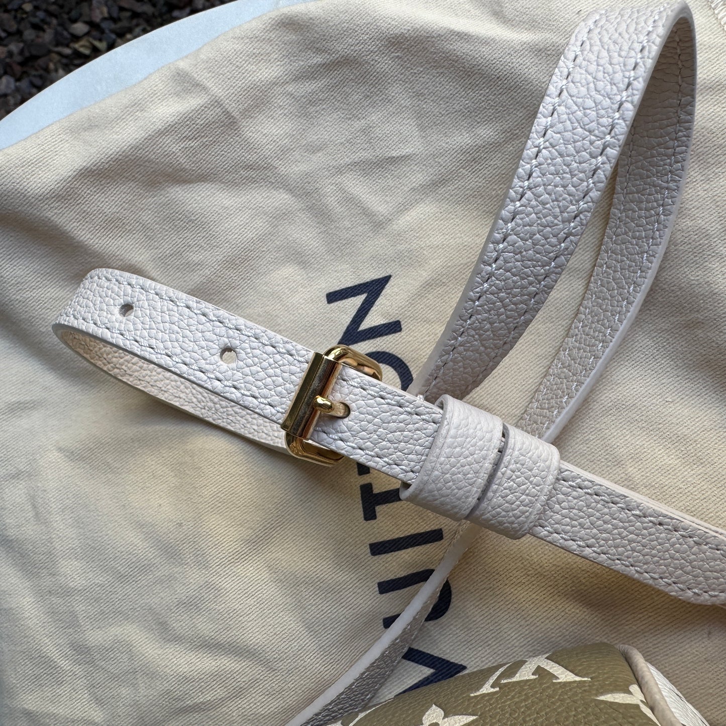 Louis Vuitton Speedy Bandoulière 20 Crossbody