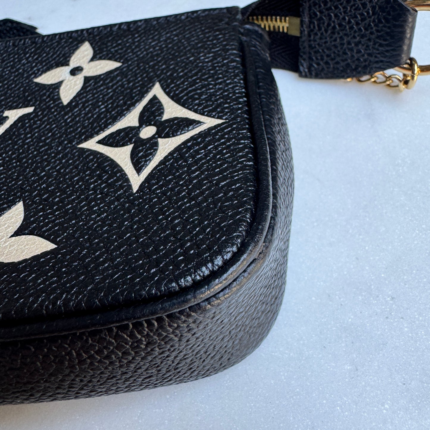 Louis Vuitton Monogram Empreinte Giant Bicolor Mini Pochette Accessoires