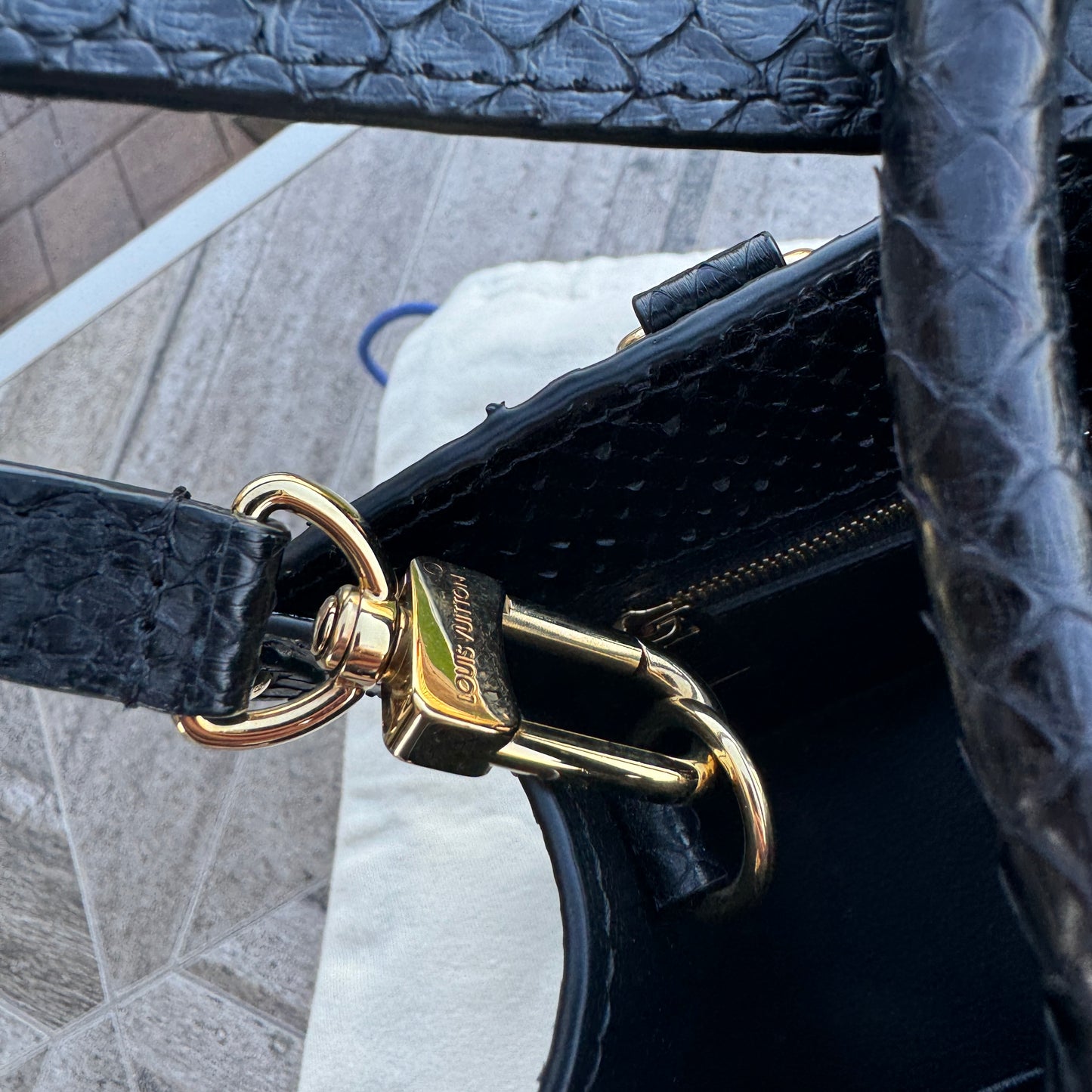 Louis Vuitton Python Onthego PM Crossbody
