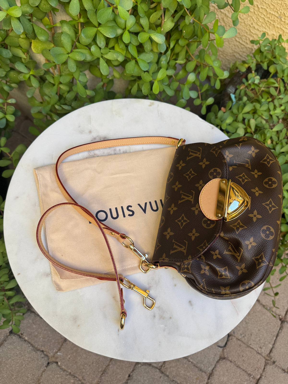 Louis Vuitton Monogram Sunset Bag