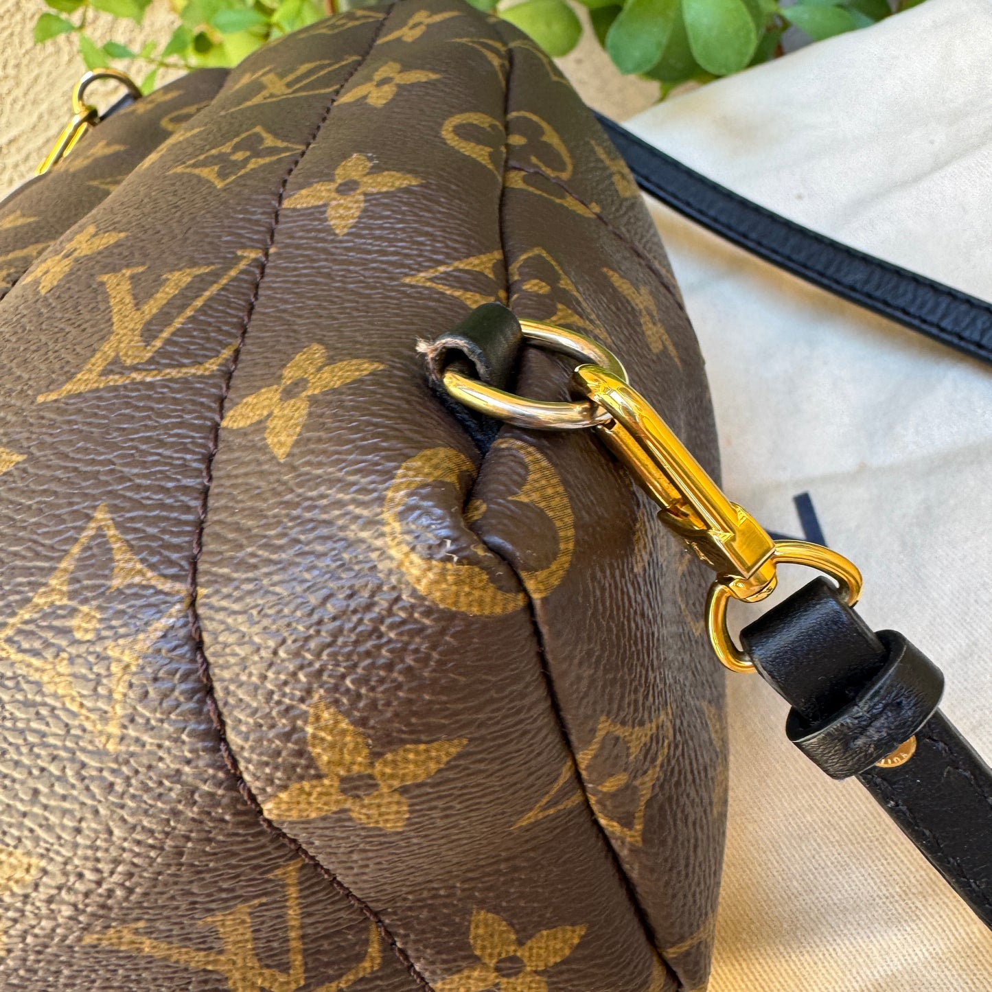 Louis Vuitton Monogram Mini Palm Springs Backpack