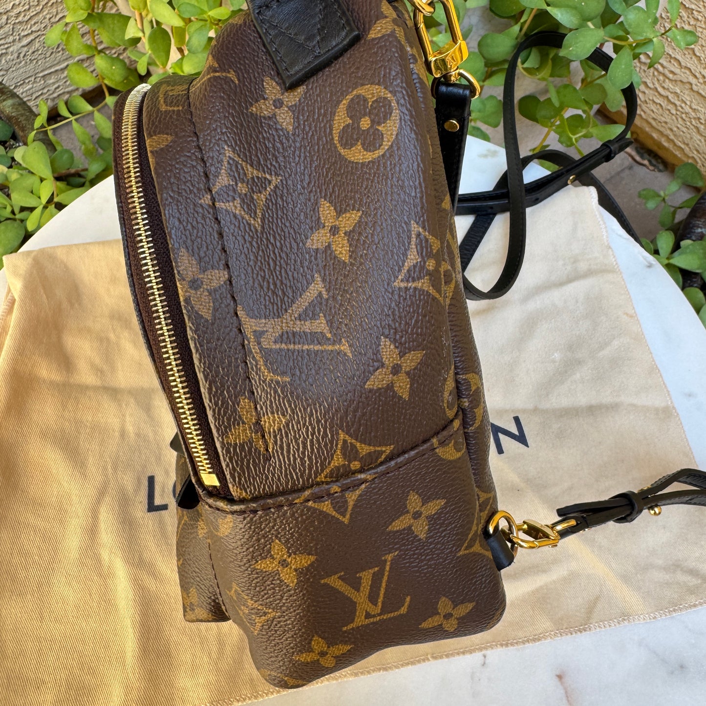 Louis Vuitton Monogram Mini Palm Springs Backpack