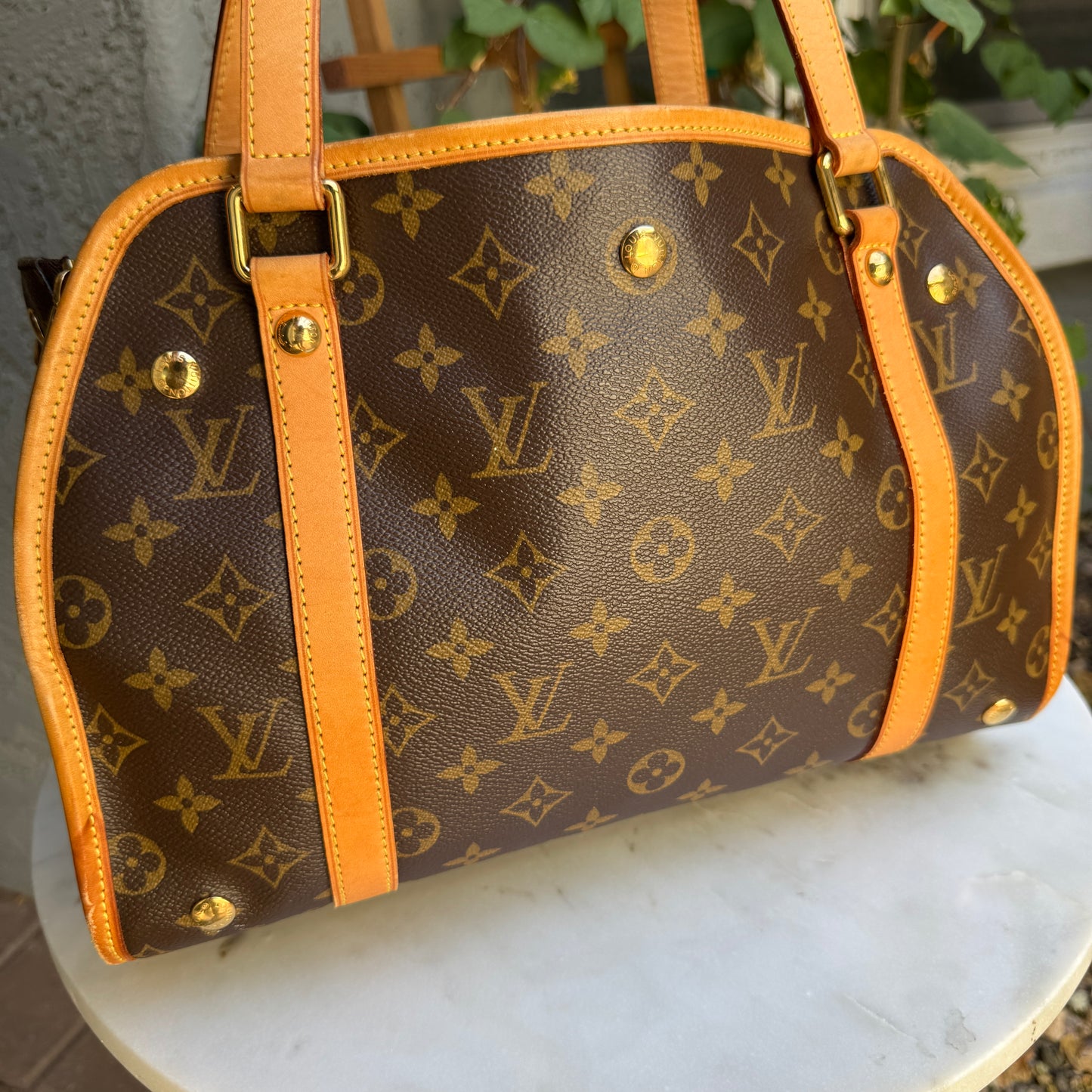 Louis Vuitton Monogram Baxter PM Dog Carrier