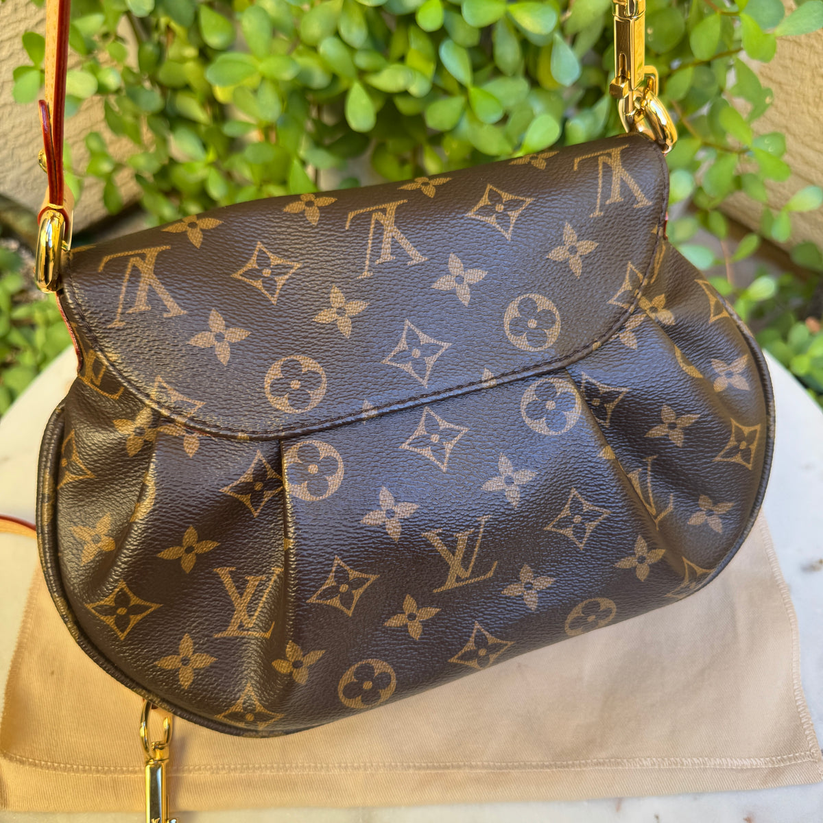 Louis Vuitton Monogram Sunset Bag