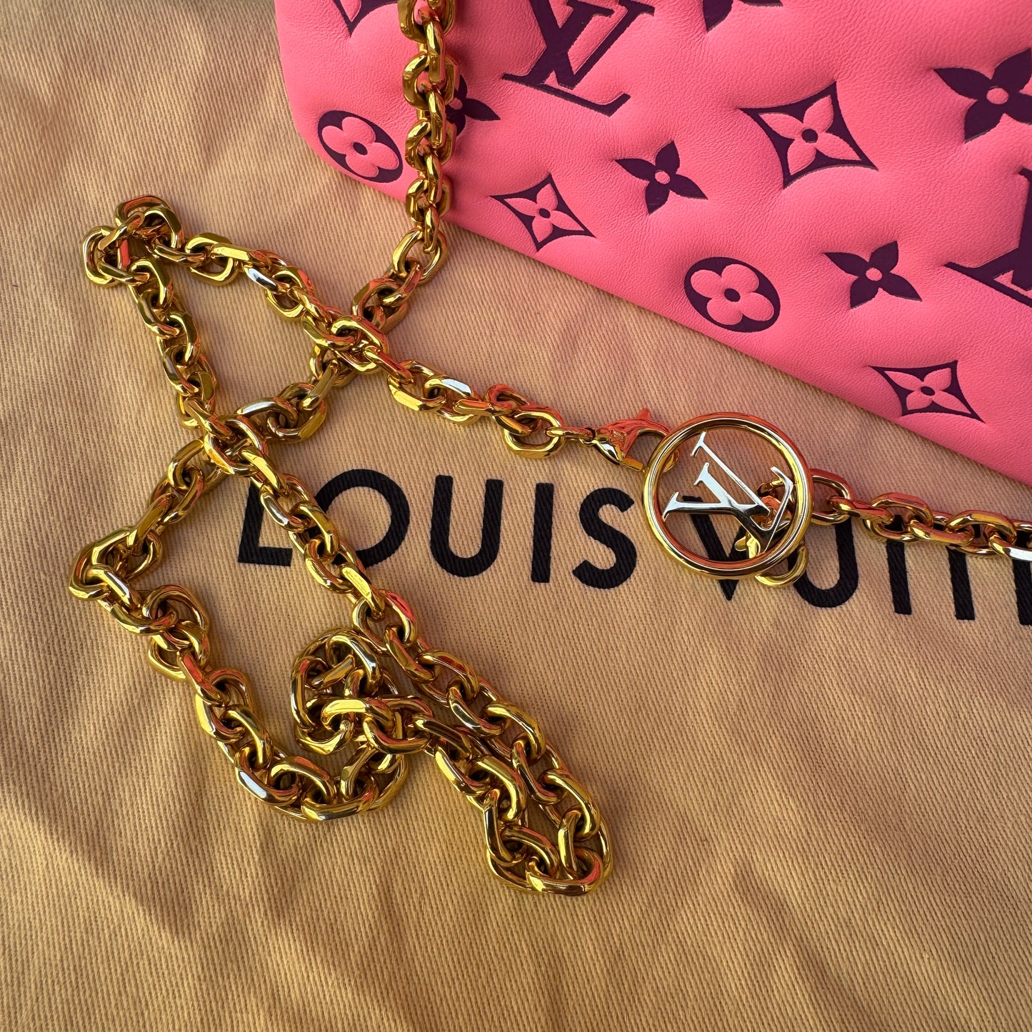 Louis Vuitton Monogram Lambskin Vuittamins Pochette Coussin