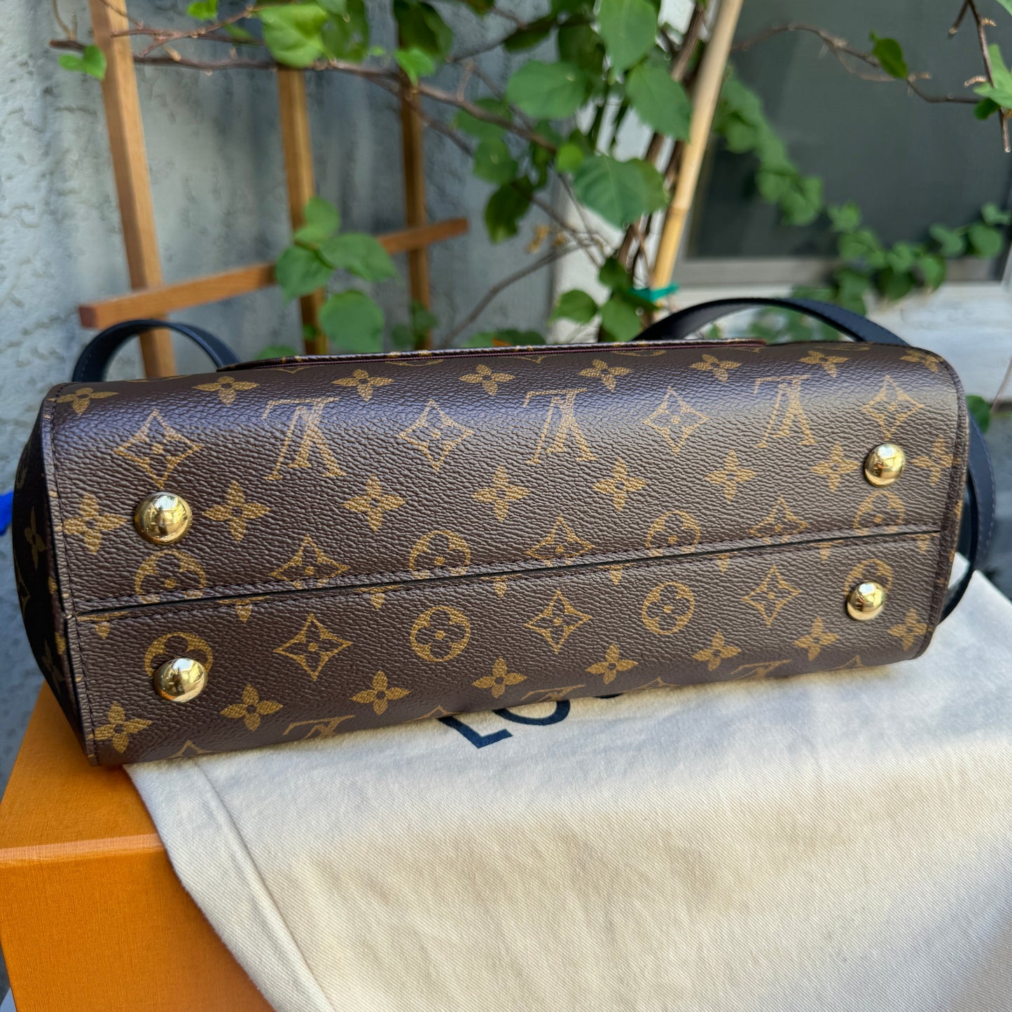 Louis Vuitton Monogram Braided Cluny MM