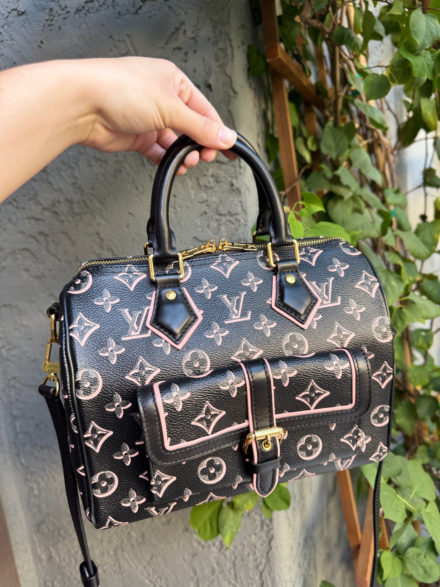 Louis Vuitton Monogram Fall for You Speedy Bandoulière 25