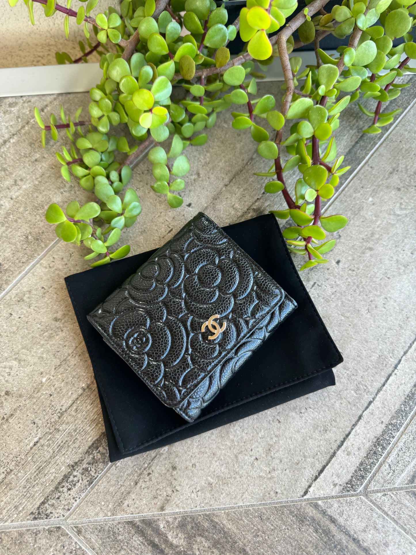 Chanel Camellia Caviar Leather Compact Wallet