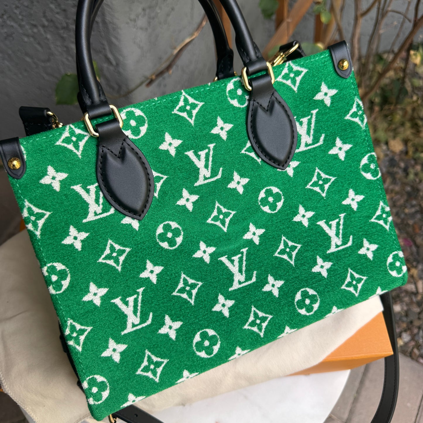Louis Vuitton Monogram Velvet OnTheGo PM