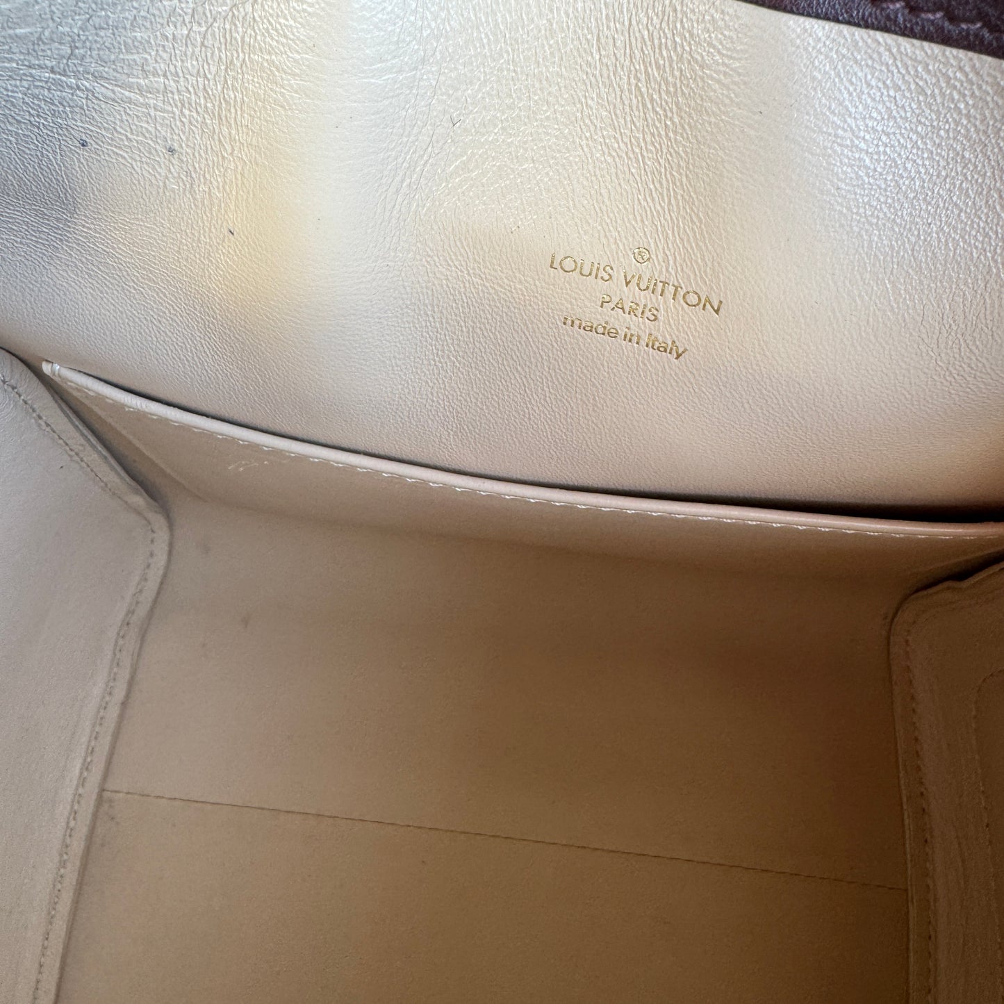 Louis Vuitton Monogram Speedy Amazon PM