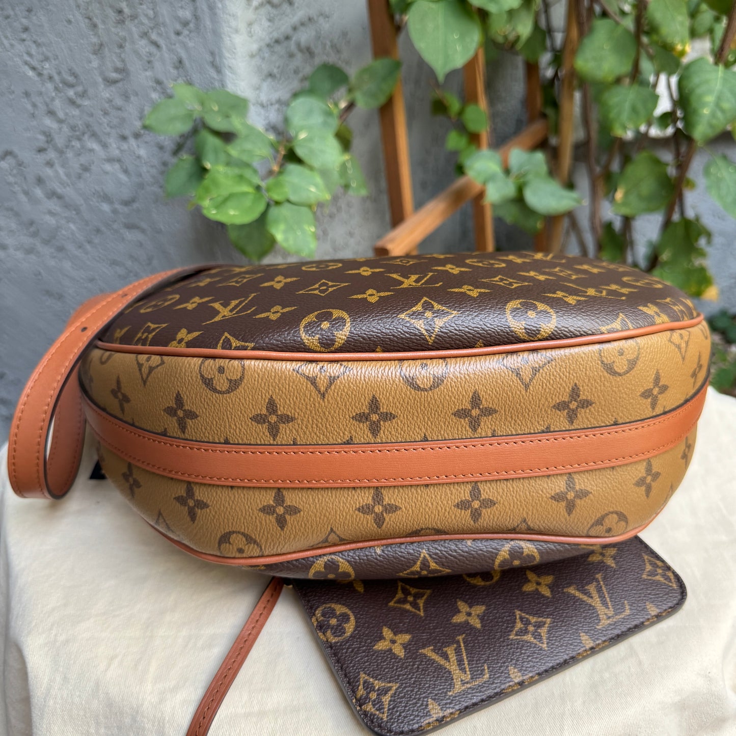 Louis Vuitton Reverse Monogram Loop Hobo Shoulder Bag
