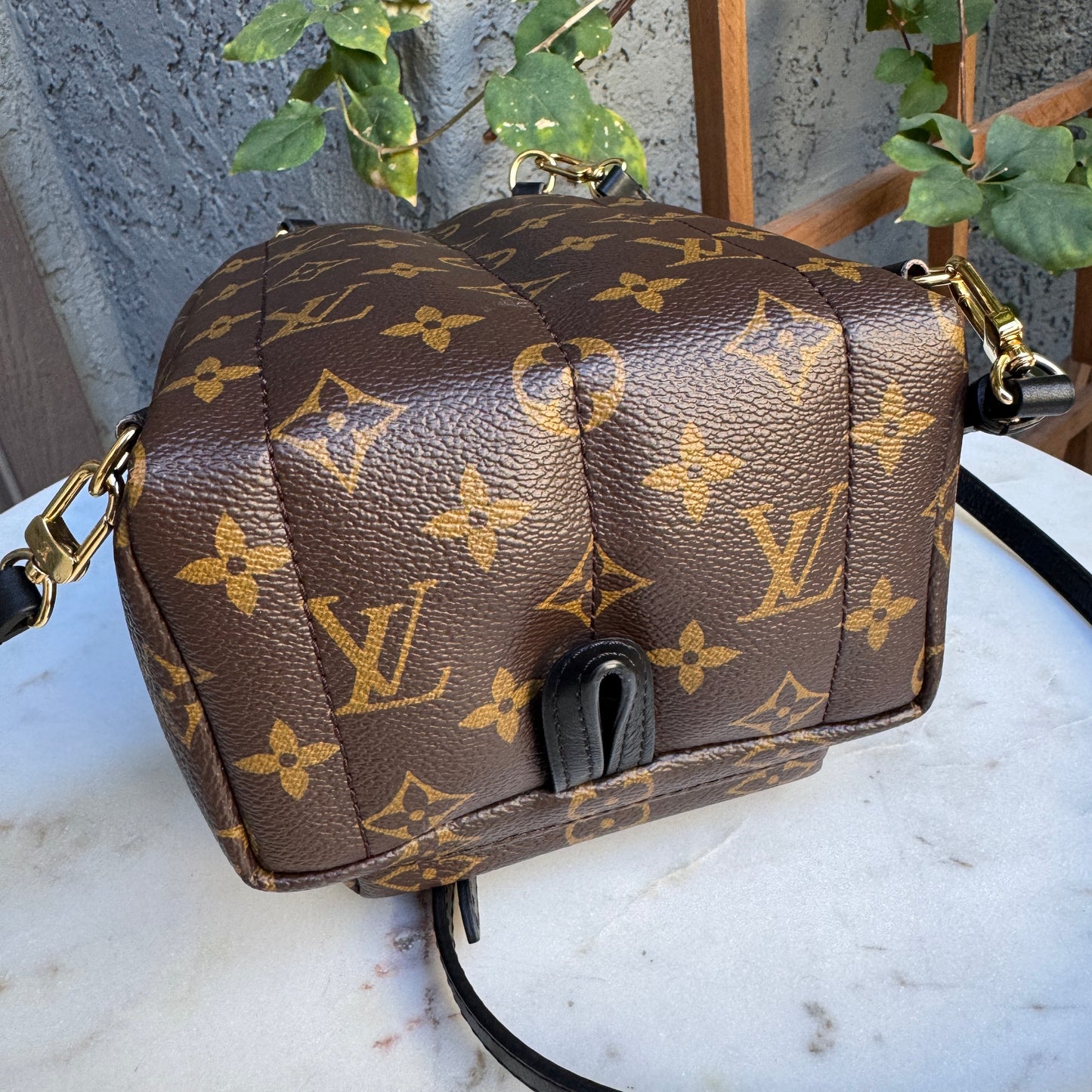Louis Vuitton Monogram Mini Palm Springs Backpack