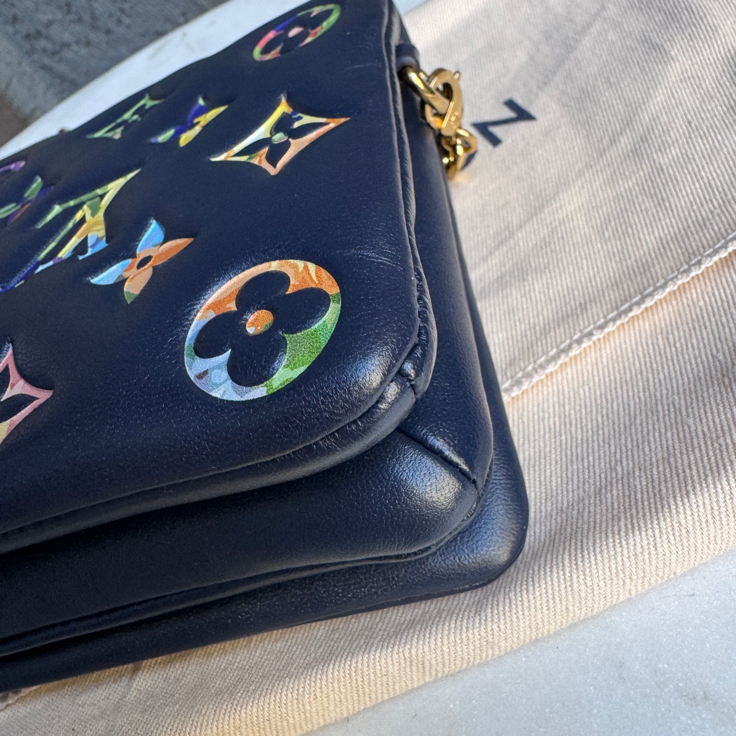Louis Vuitton Multicolor Garden Pochette Coussin Crossbody