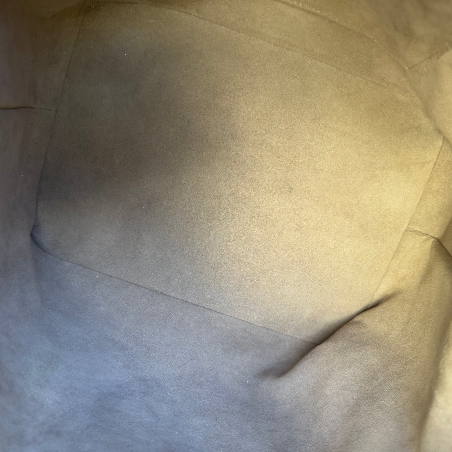 Louis Vuitton Multicolore Petit Noe Bucket Drawstring Shoulder Bag