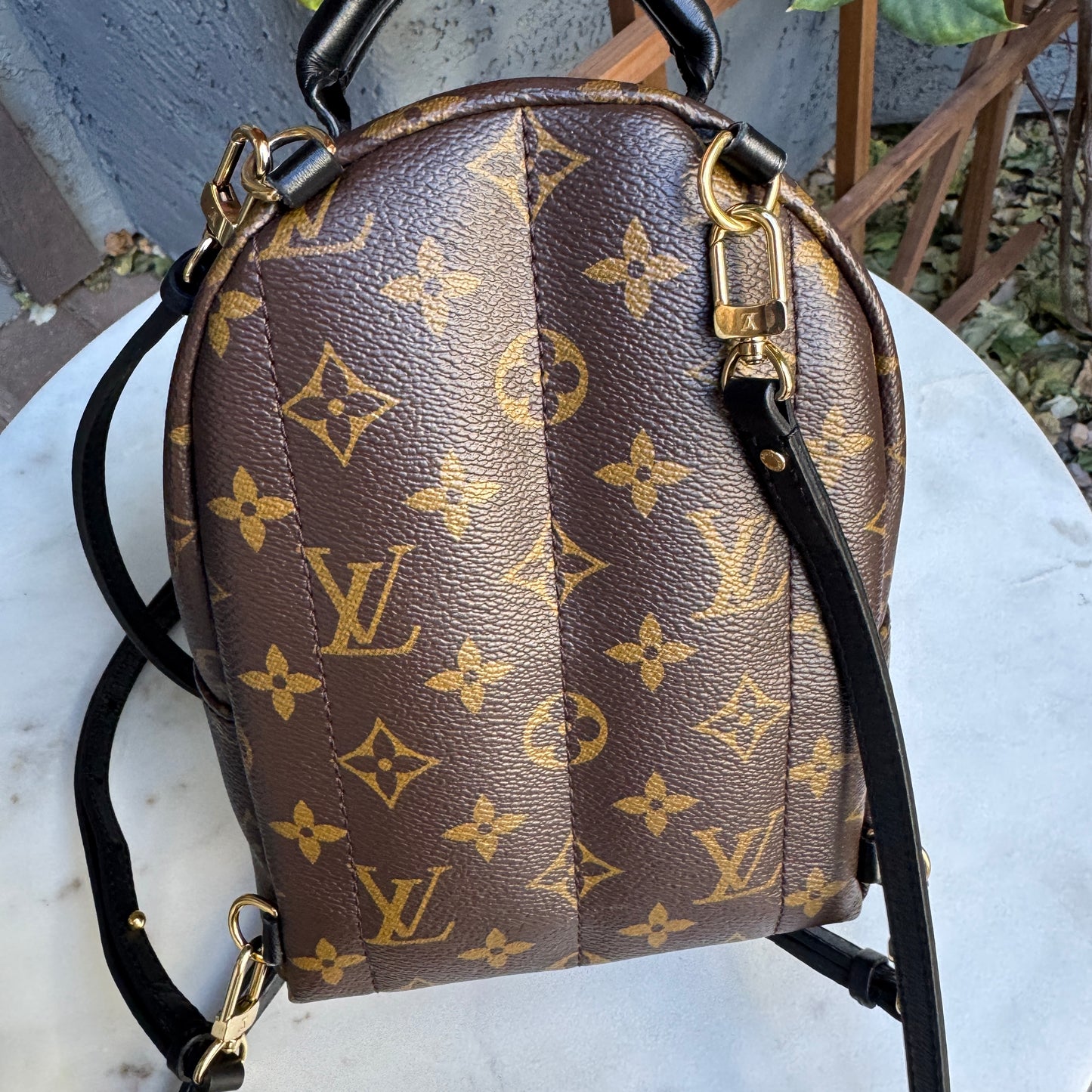 Louis Vuitton Monogram Mini Palm Springs Backpack
