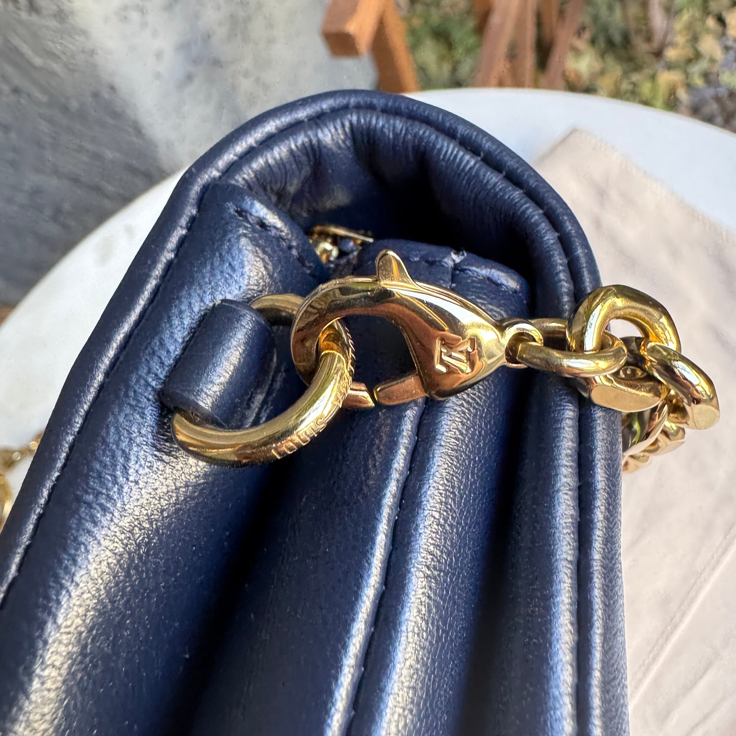 Louis Vuitton Multicolor Garden Pochette Coussin Crossbody