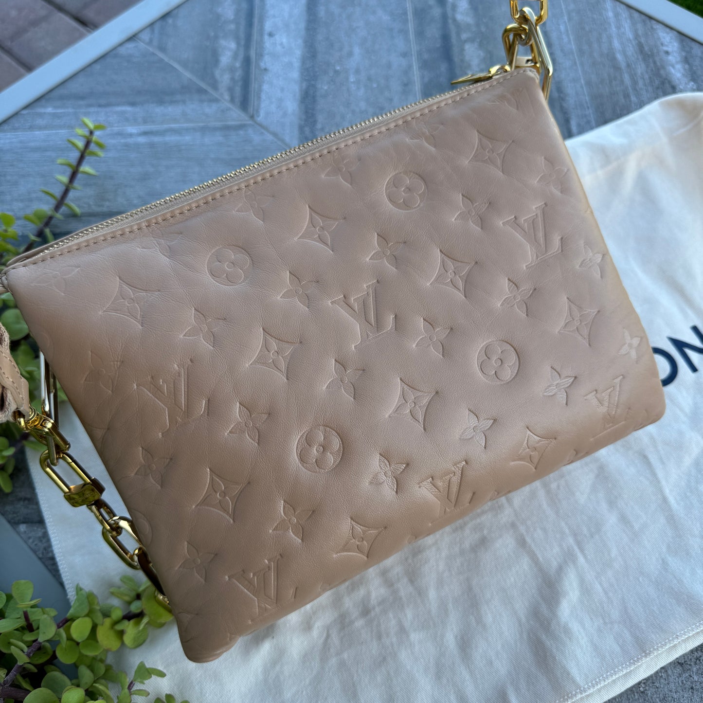 Louis Vuitton Coussin PM Crossbody
