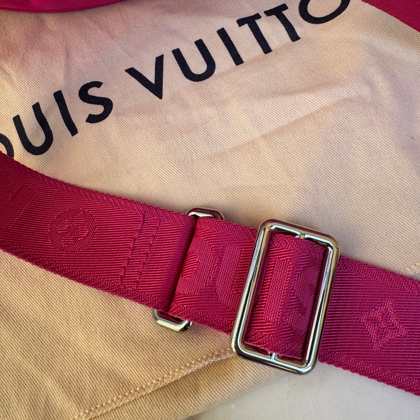 Louis Vuitton Bubblegram Calfskin Over the Moon Crossbody