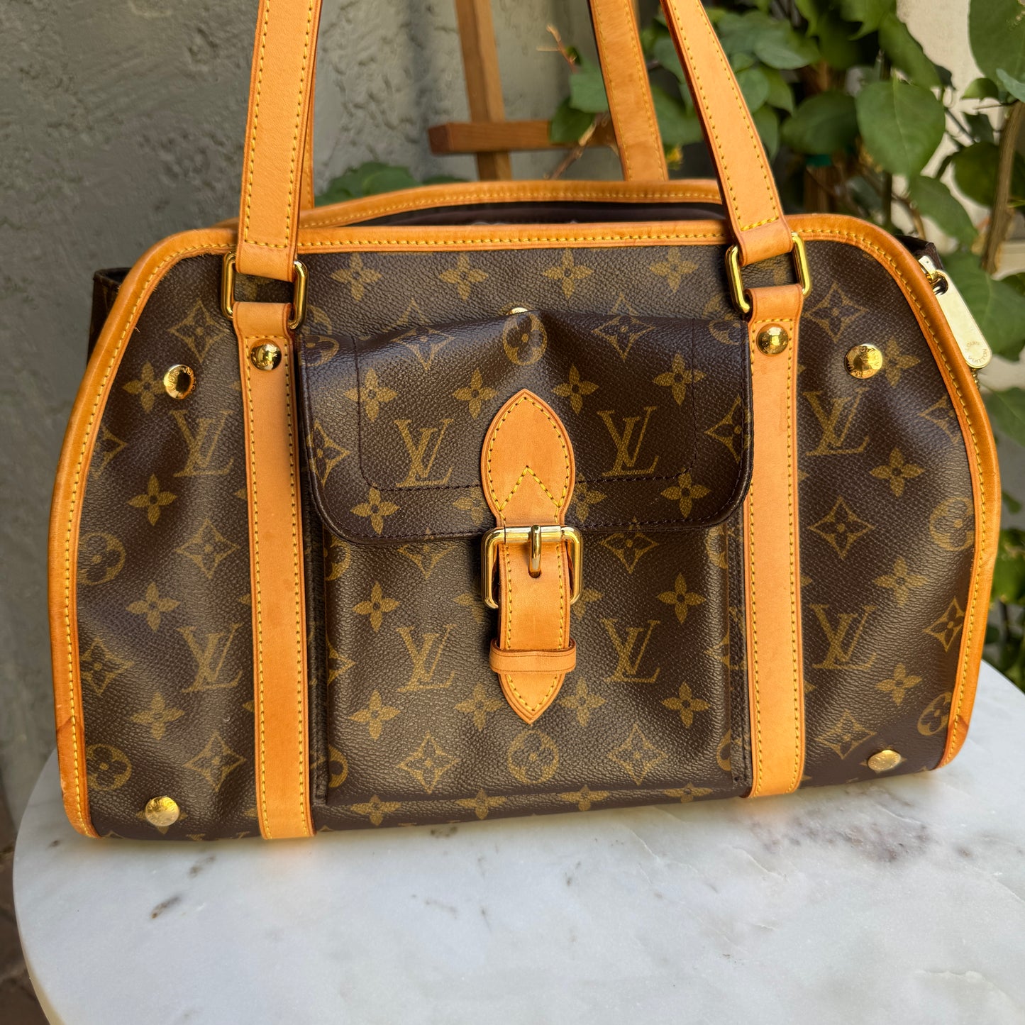 Louis Vuitton Monogram Baxter PM Dog Carrier
