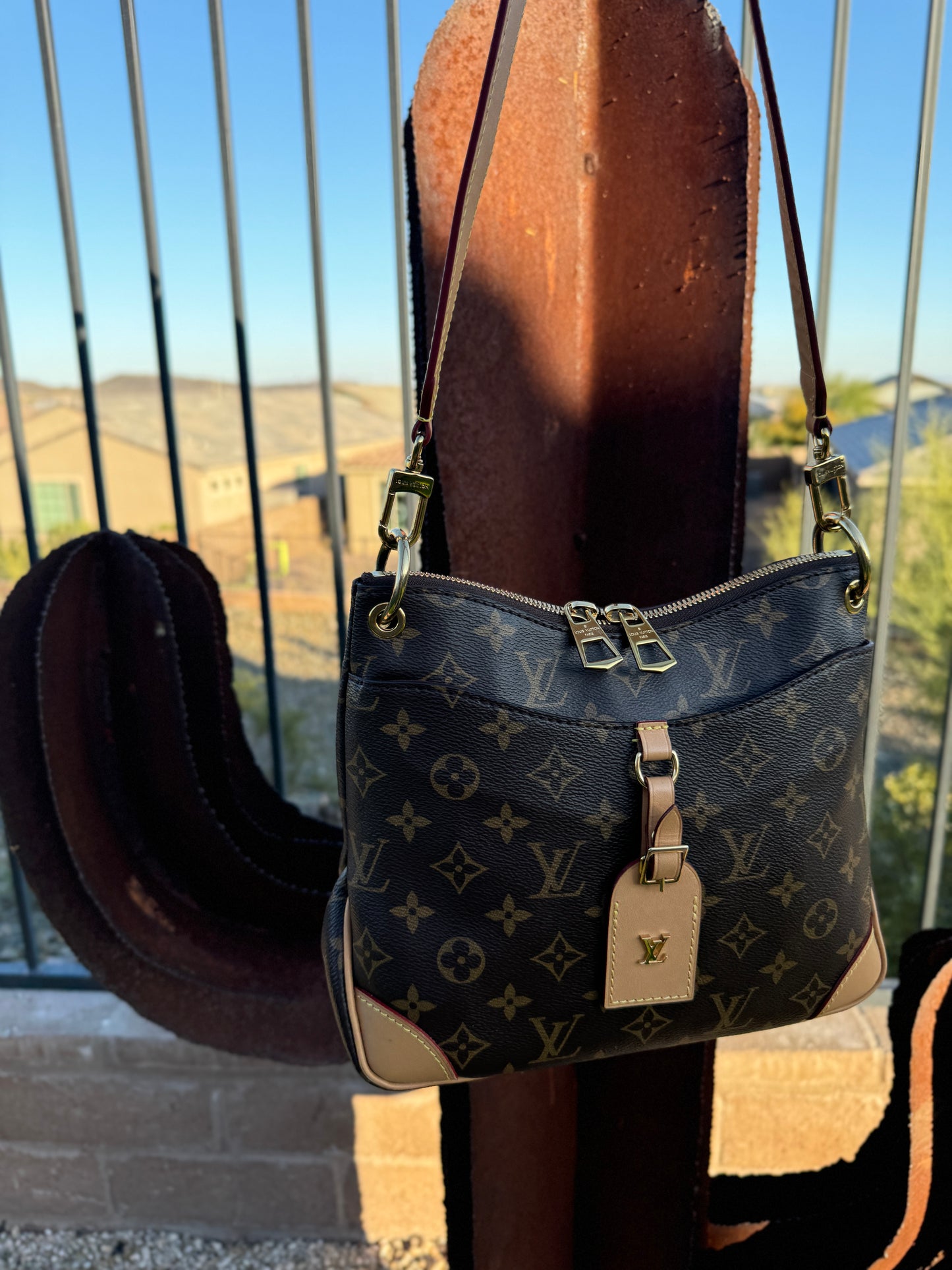 Louis Vuitton Monogram Odeon PM NM Crossbody