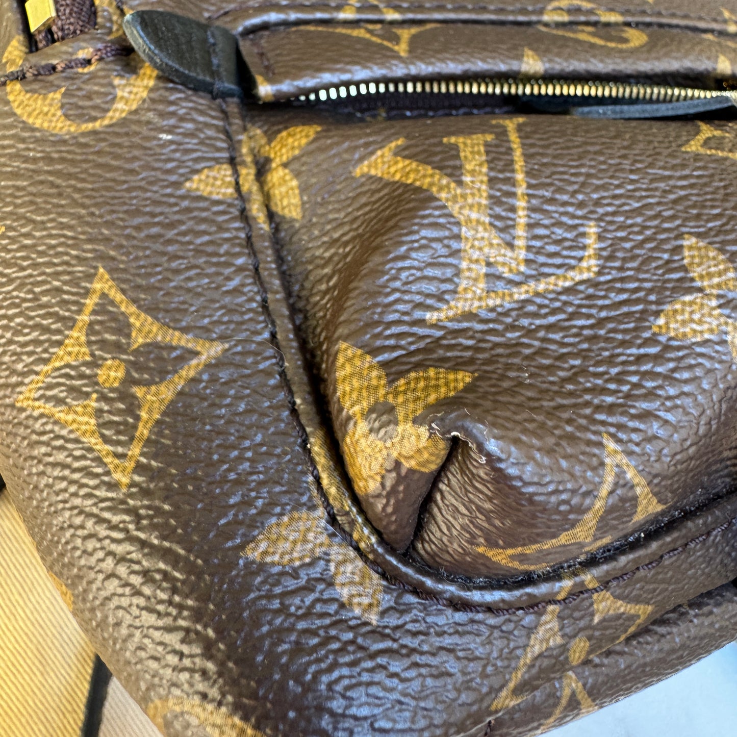 Louis Vuitton Monogram Mini Palm Springs Backpack