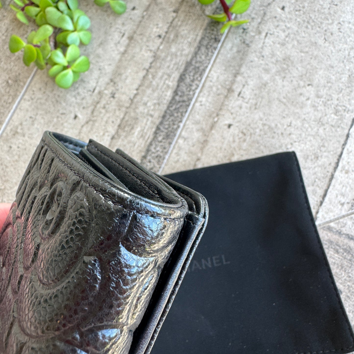 Chanel Camellia Caviar Leather Compact Wallet