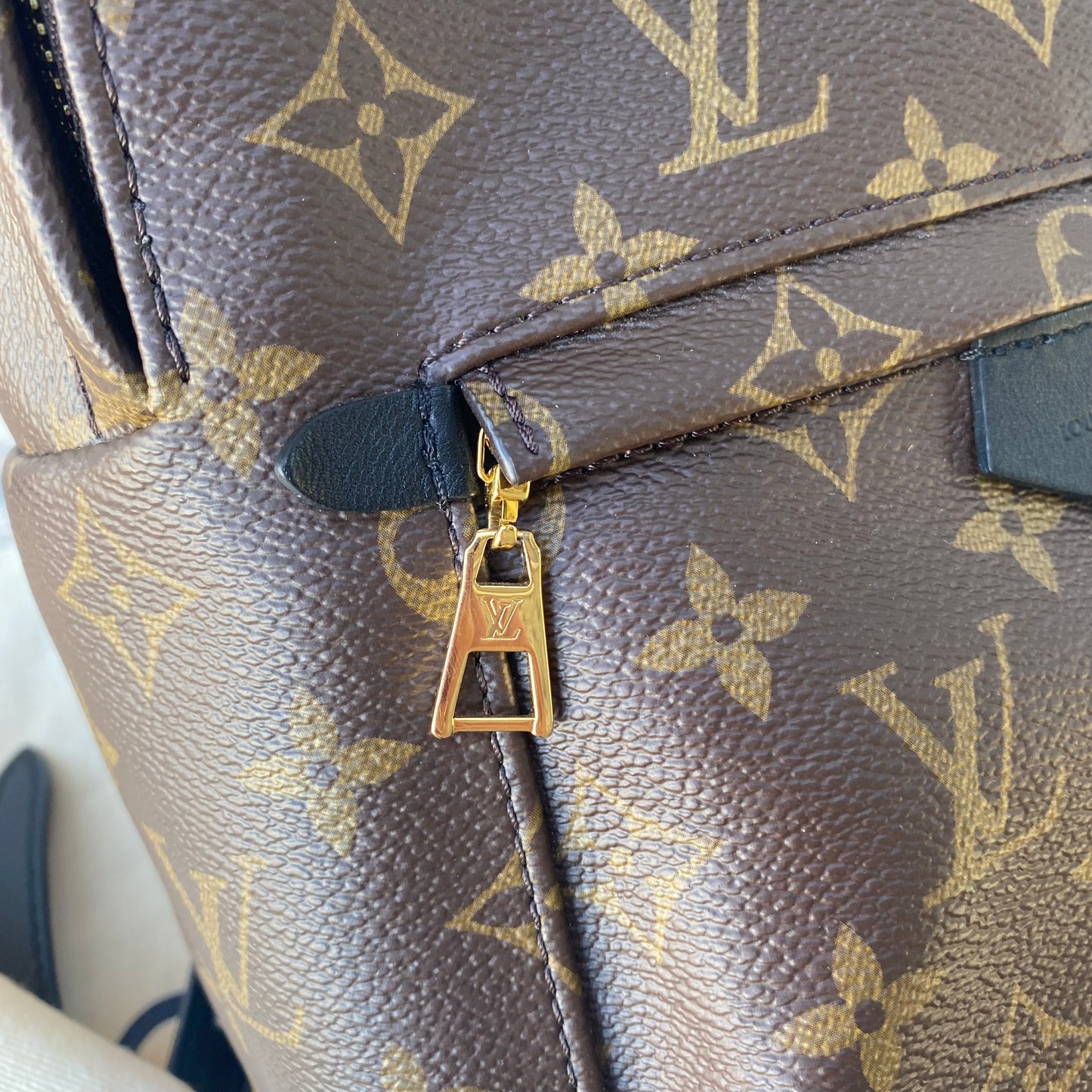 Louis Vuitton Monogram Palm Springs PM Backpack