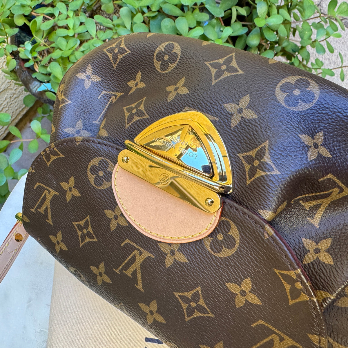 Louis Vuitton Monogram Sunset Bag