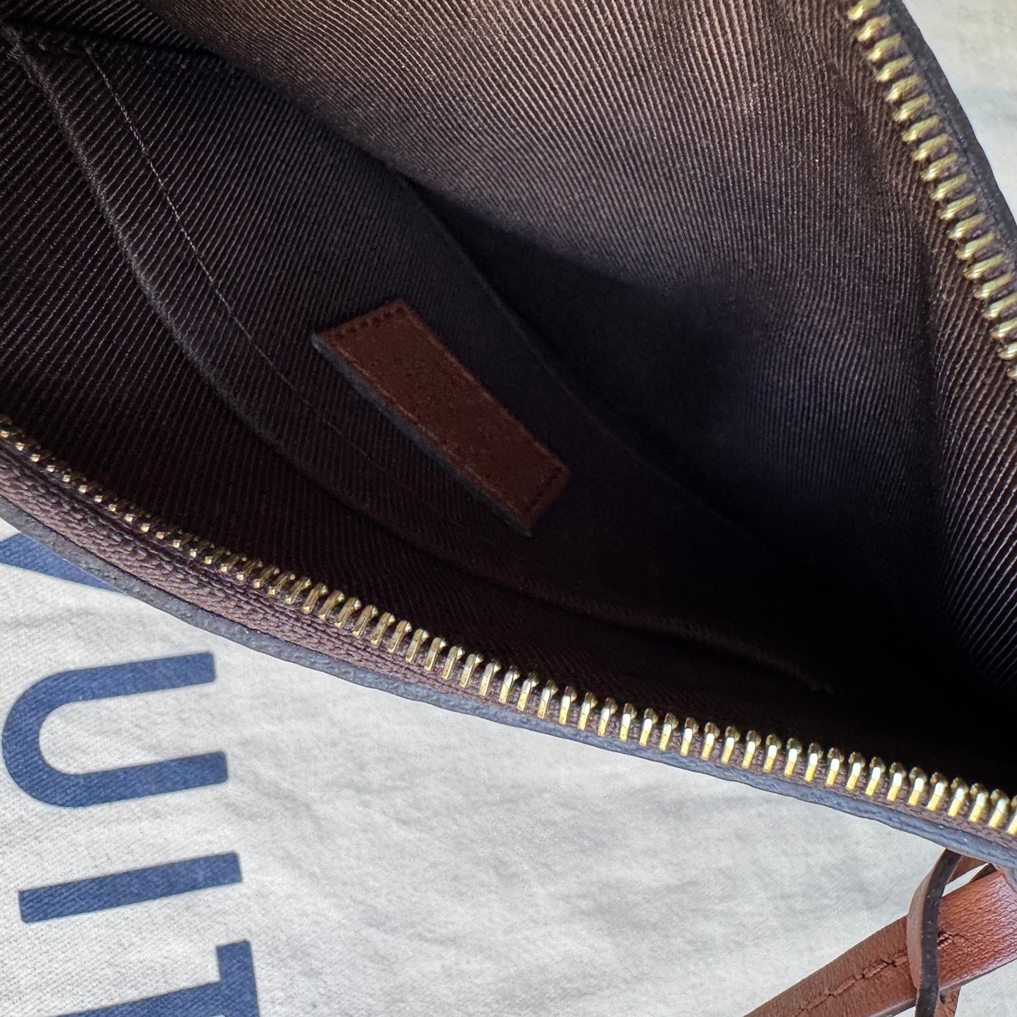 Louis Vuitton Reverse Monogram Loop Hobo Shoulder Bag