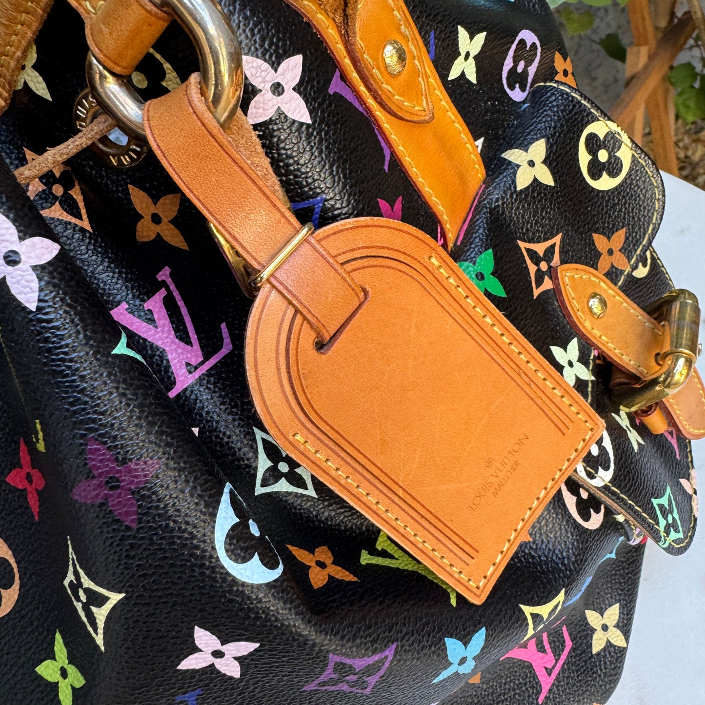 Louis Vuitton Multicolore Petit Noe Bucket Drawstring Shoulder Bag