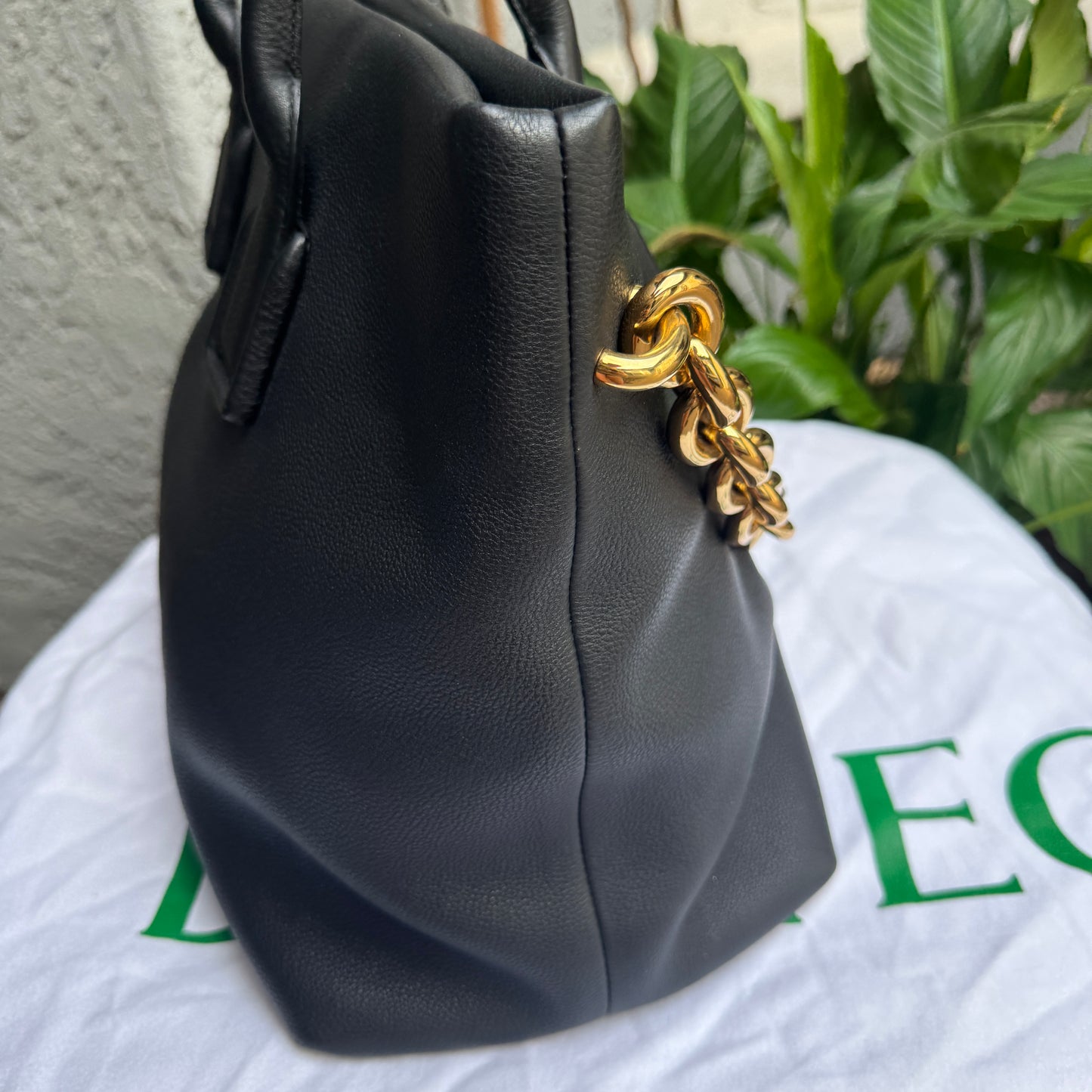 Bottega Veneta Mount Leather Tote