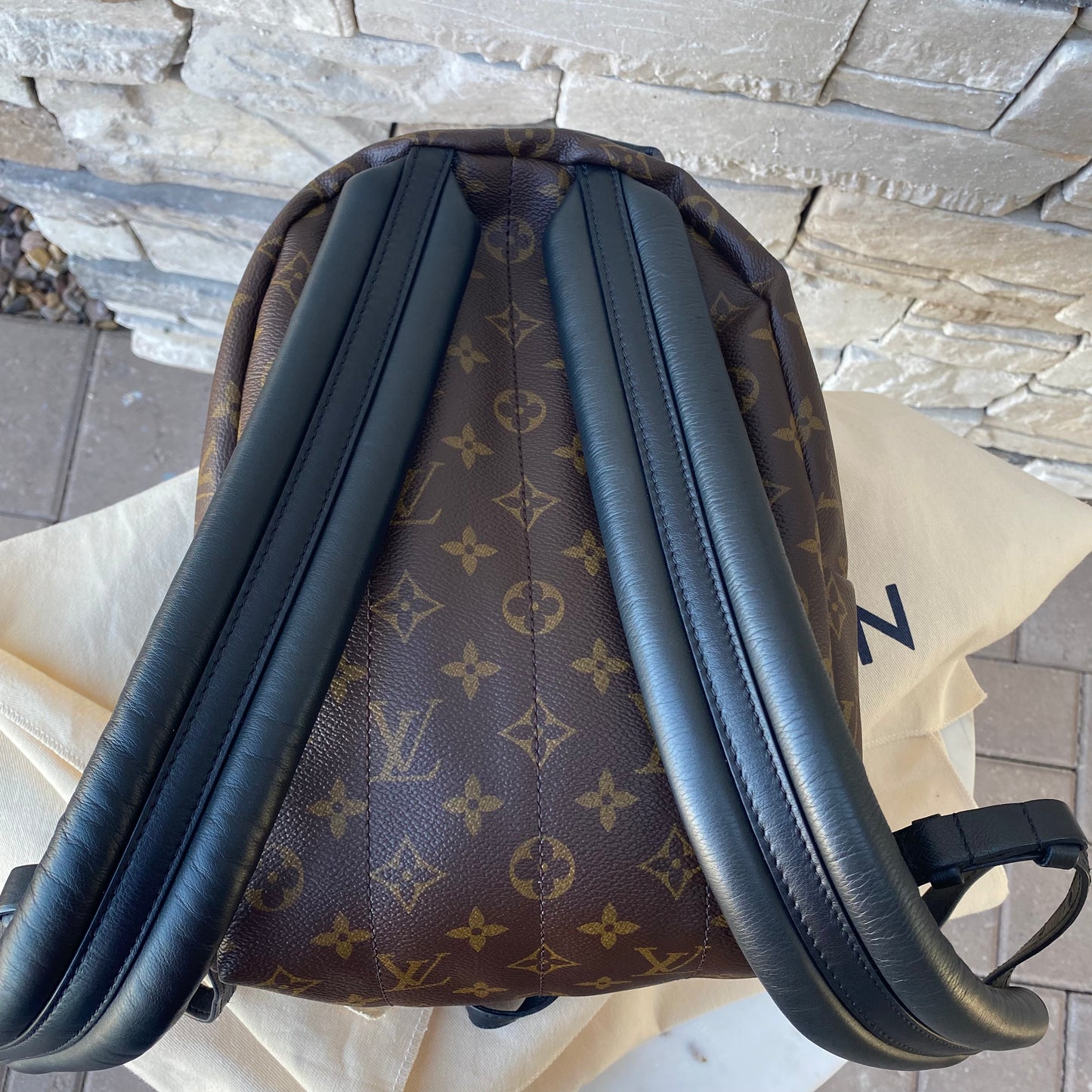 Louis Vuitton Monogram Palm Springs PM Backpack