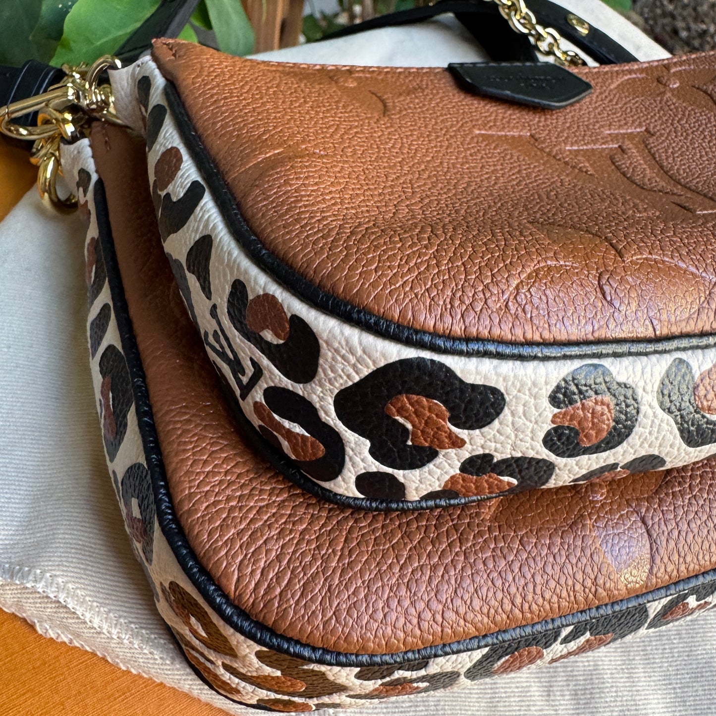 Louis Vuitton Wild at Heart Multi Pochette Accessoires