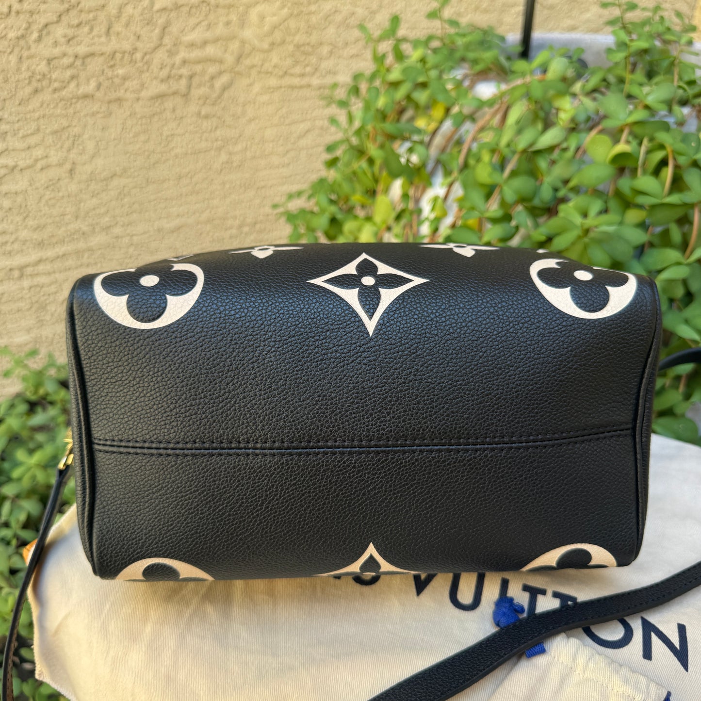 Louis Vuitton Speedy Bandoulière 25