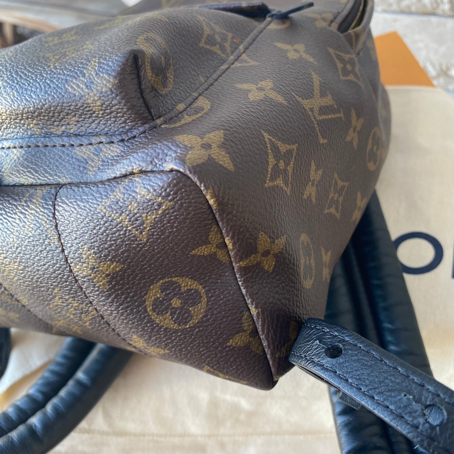 Louis Vuitton Monogram Palm Springs PM Backpack