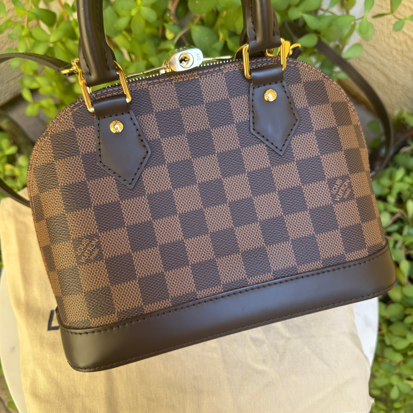 Louis Vuitton Damier Ebene Alma BB