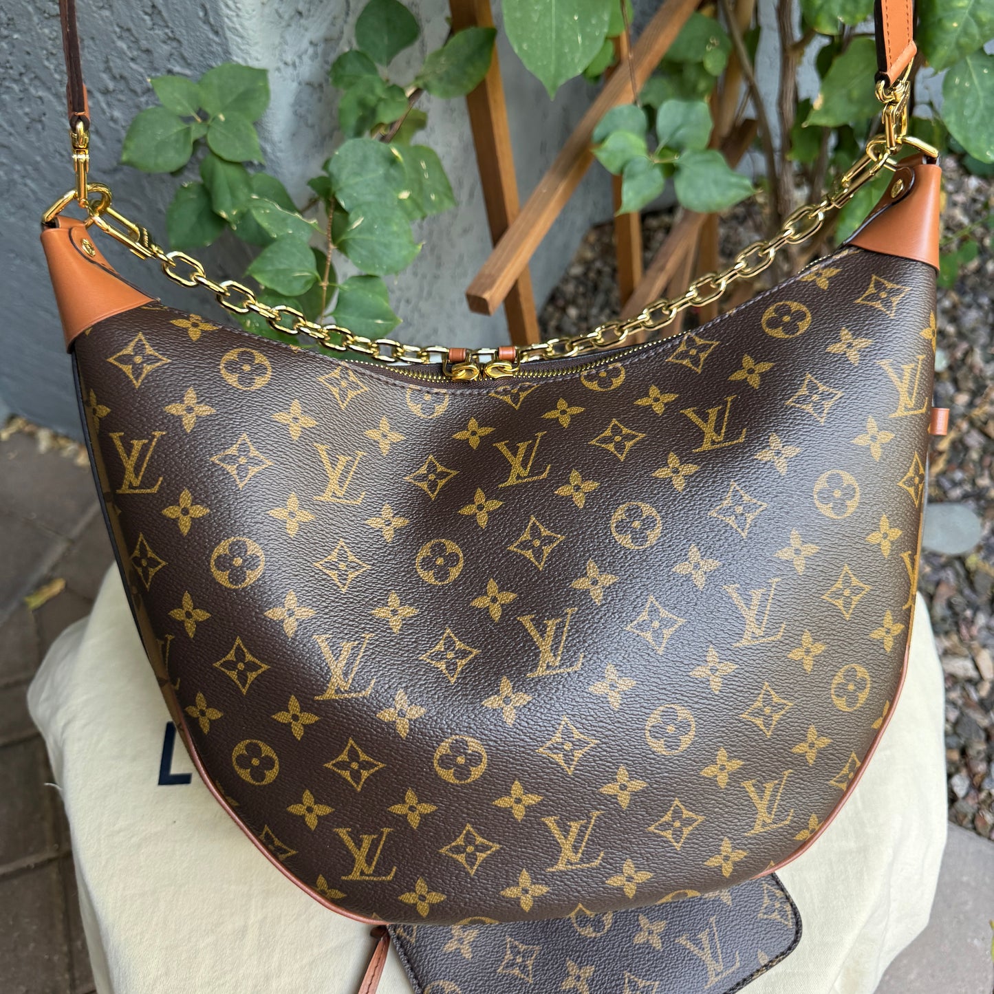 Louis Vuitton Reverse Monogram Loop Hobo Shoulder Bag