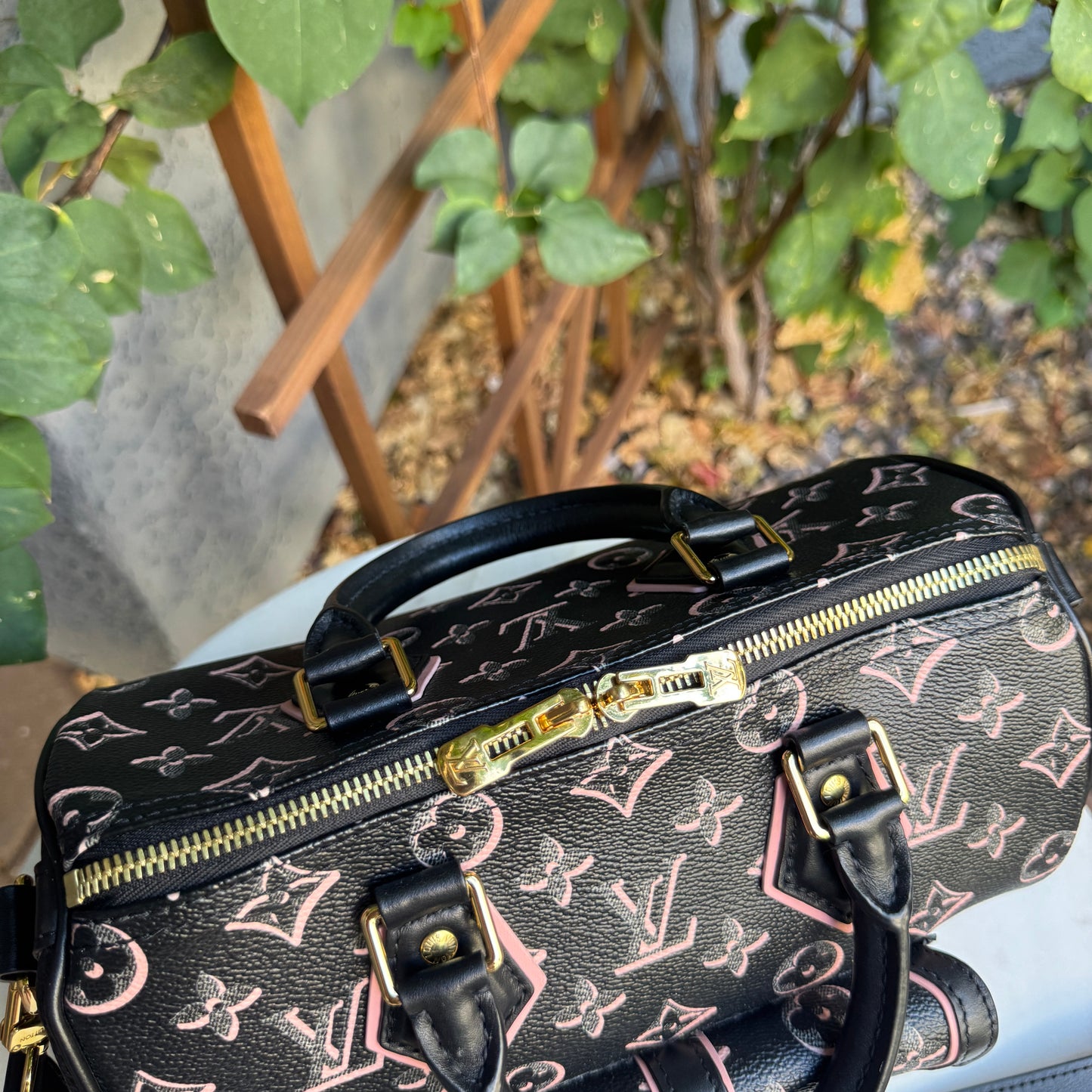Louis Vuitton Monogram Fall for You Speedy Bandoulière 25