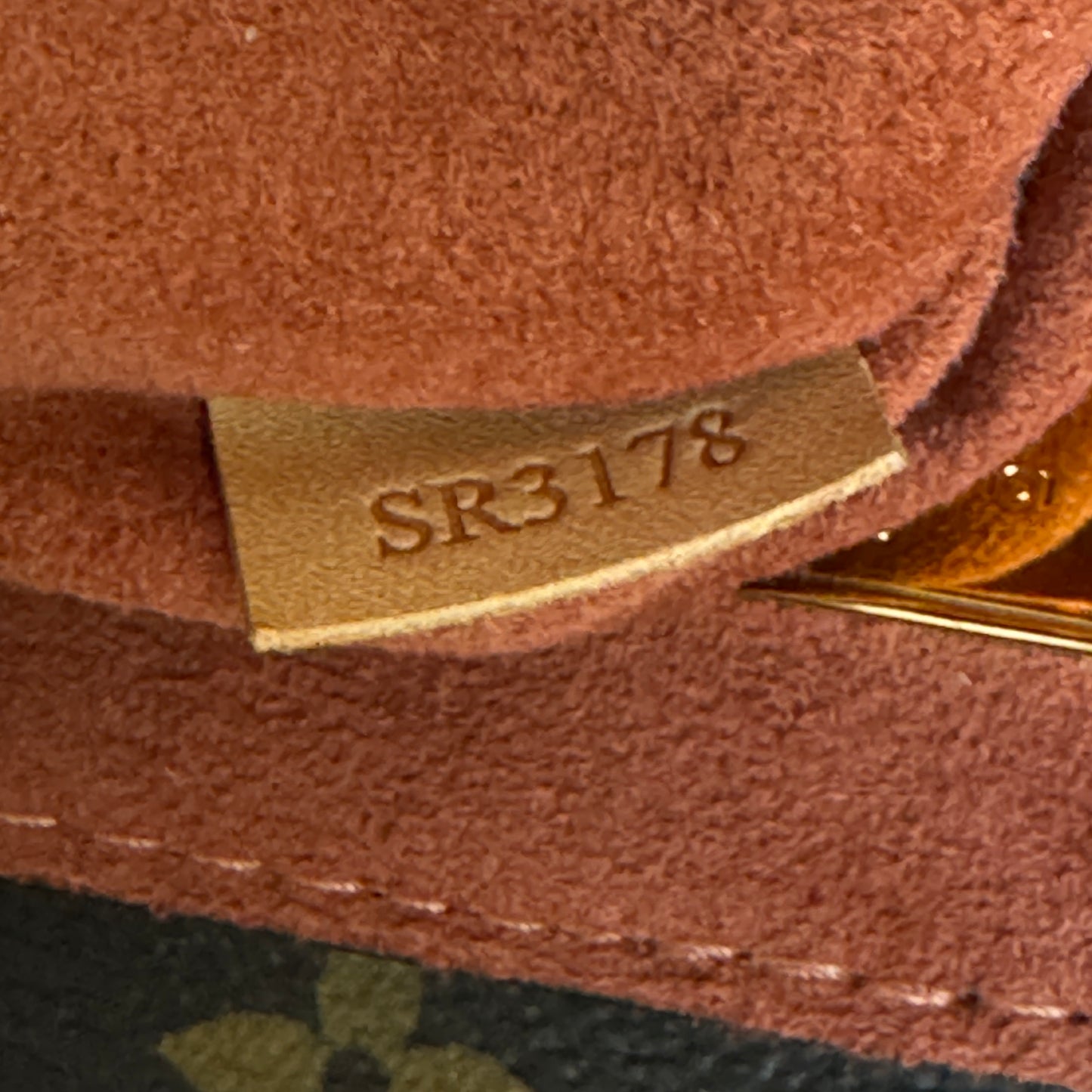 Louis Vuitton Vernis Hot Springs Backpack