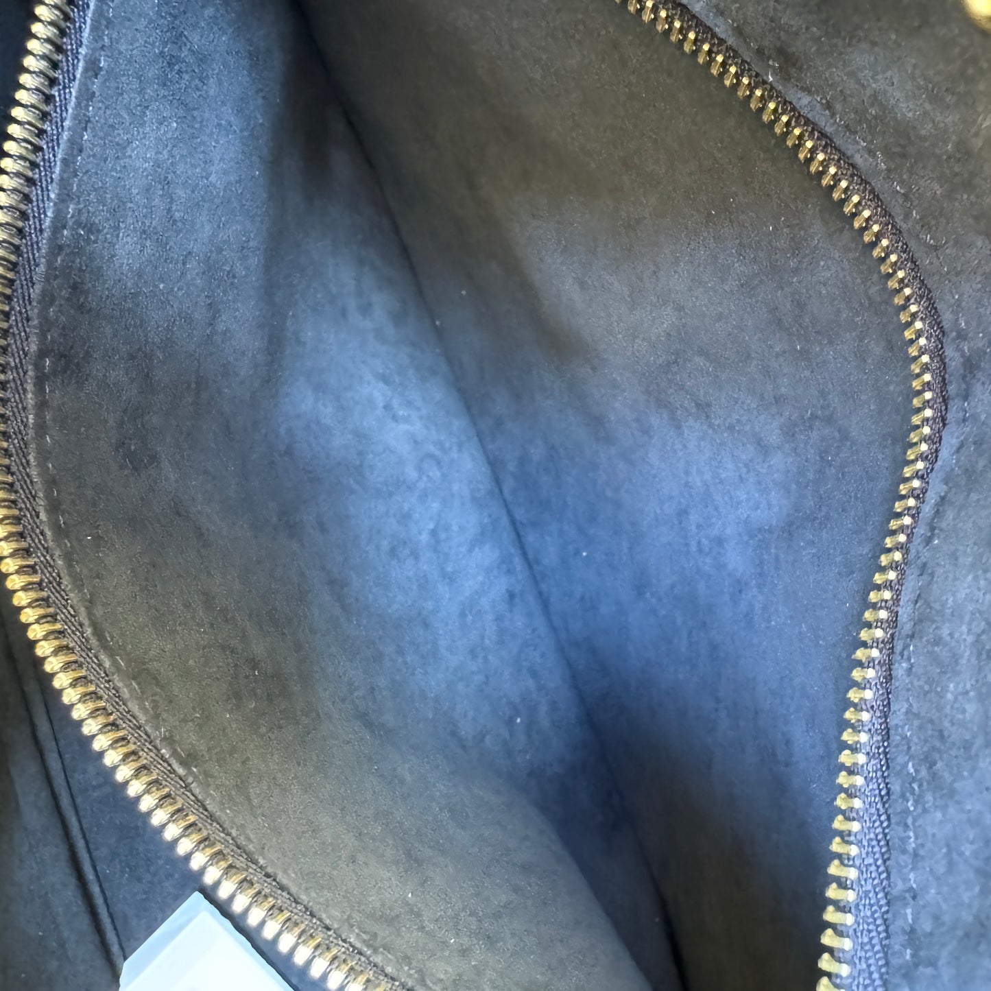 Louis Vuitton Wild at Heart Neverfull MM