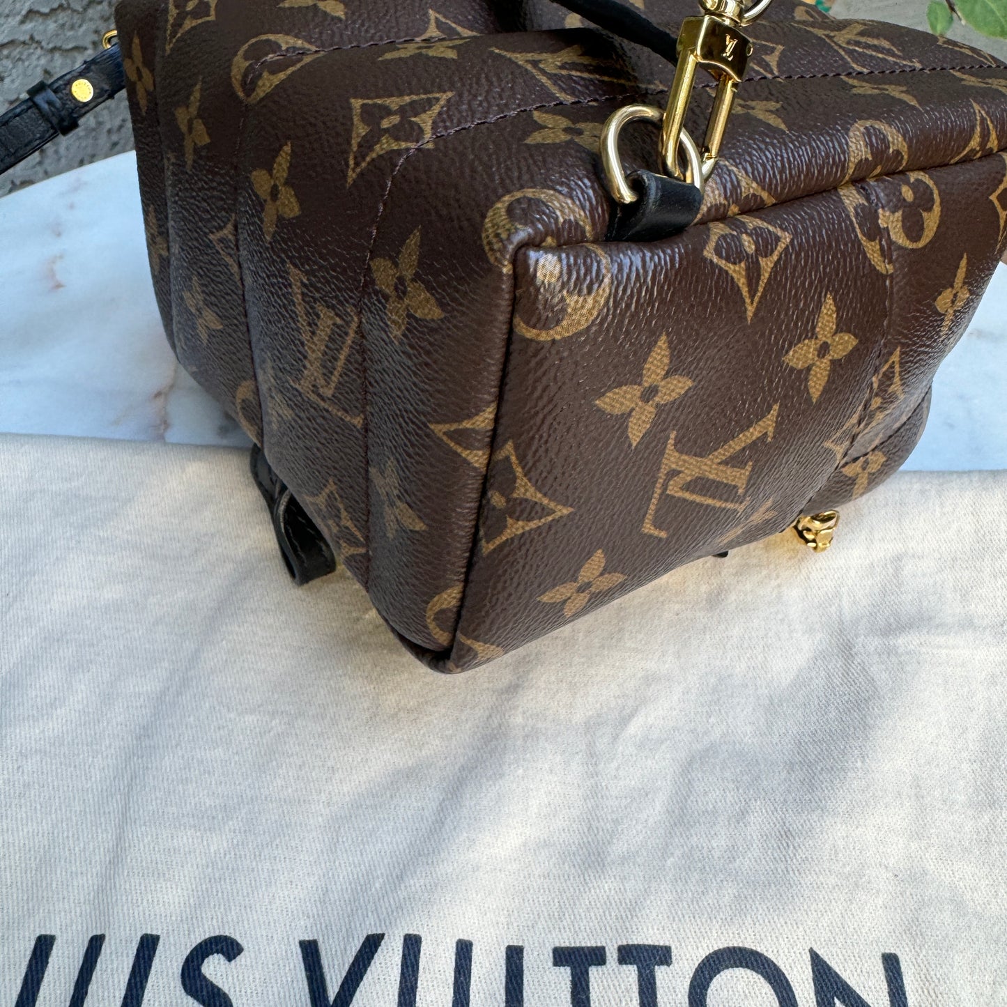 Louis Vuitton Monogram Mini Palm Springs Backpack