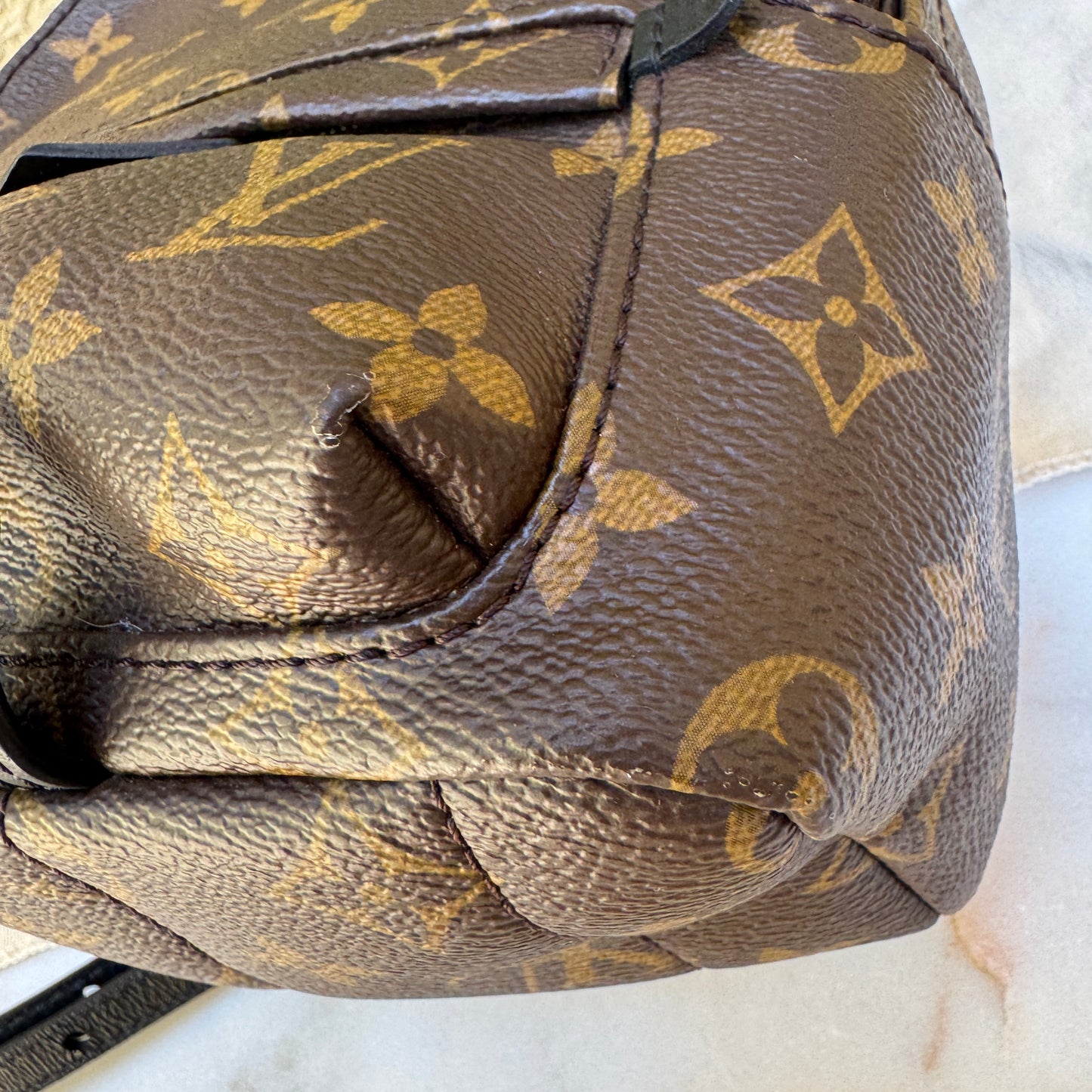 Louis Vuitton Monogram Mini Palm Springs Backpack