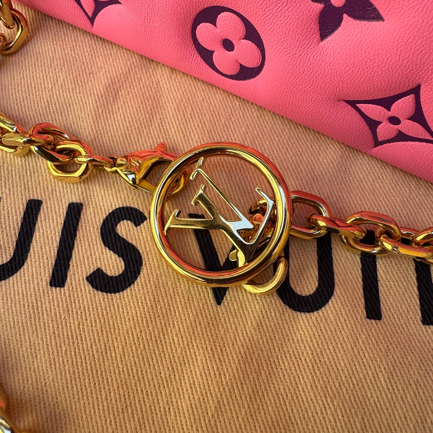 Louis Vuitton Monogram Lambskin Vuittamins Pochette Coussin